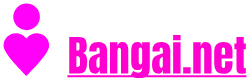 Bangai.net